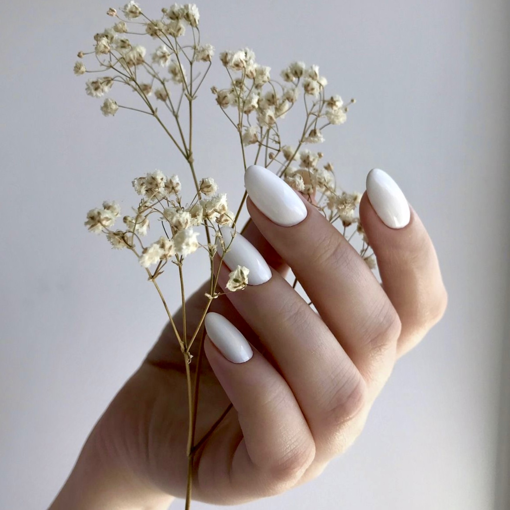 زیبایی و بهداشت ناخن